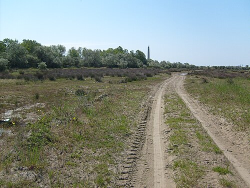 Маяк № 416, 2008